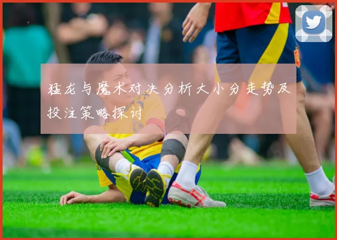 猛龙与魔术对决分析大小分走势及投注策略探讨
