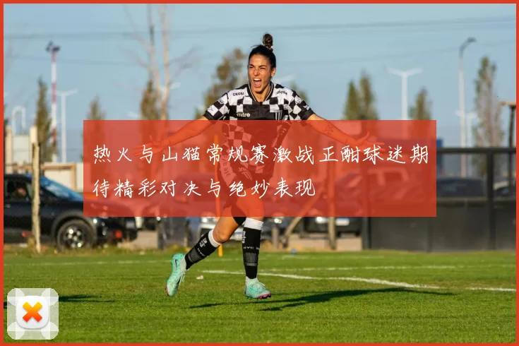 热火与山猫常规赛激战正酣球迷期待精彩对决与绝妙表现