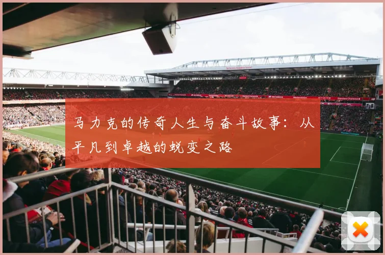 马力克的传奇人生与奋斗故事：从平凡到卓越的蜕变之路